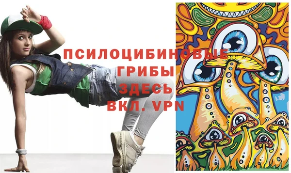 дживик Алексеевка